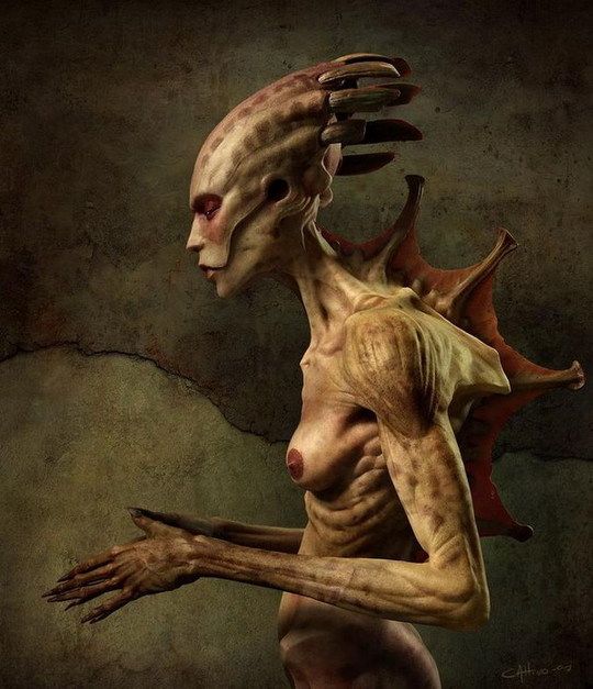 free nude pussy pics of kaitlyn fat black harlots porn pictures